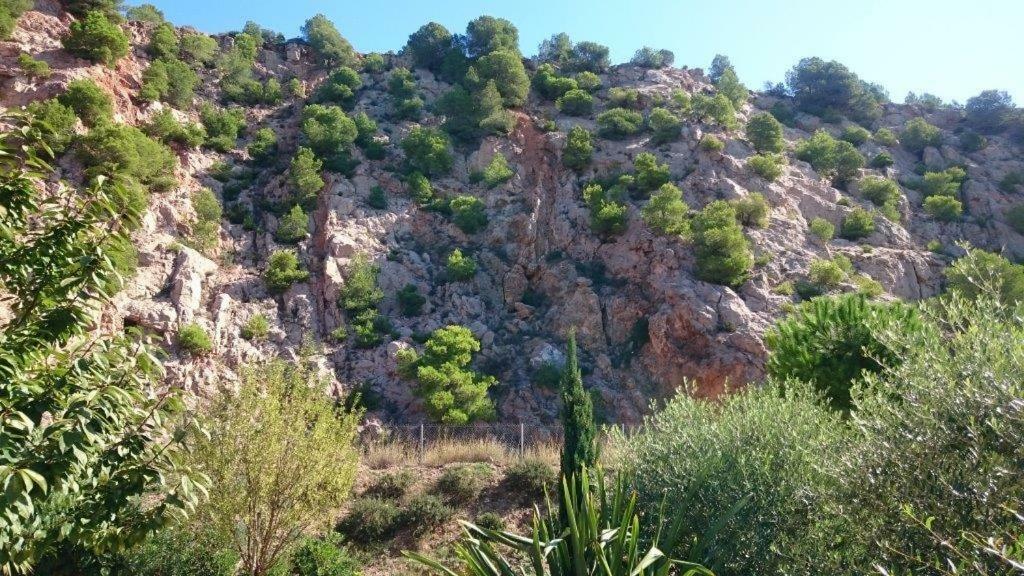 Aux Marches Du Soleil: Shared Apartment with Private Rooms Sete Exterior photo