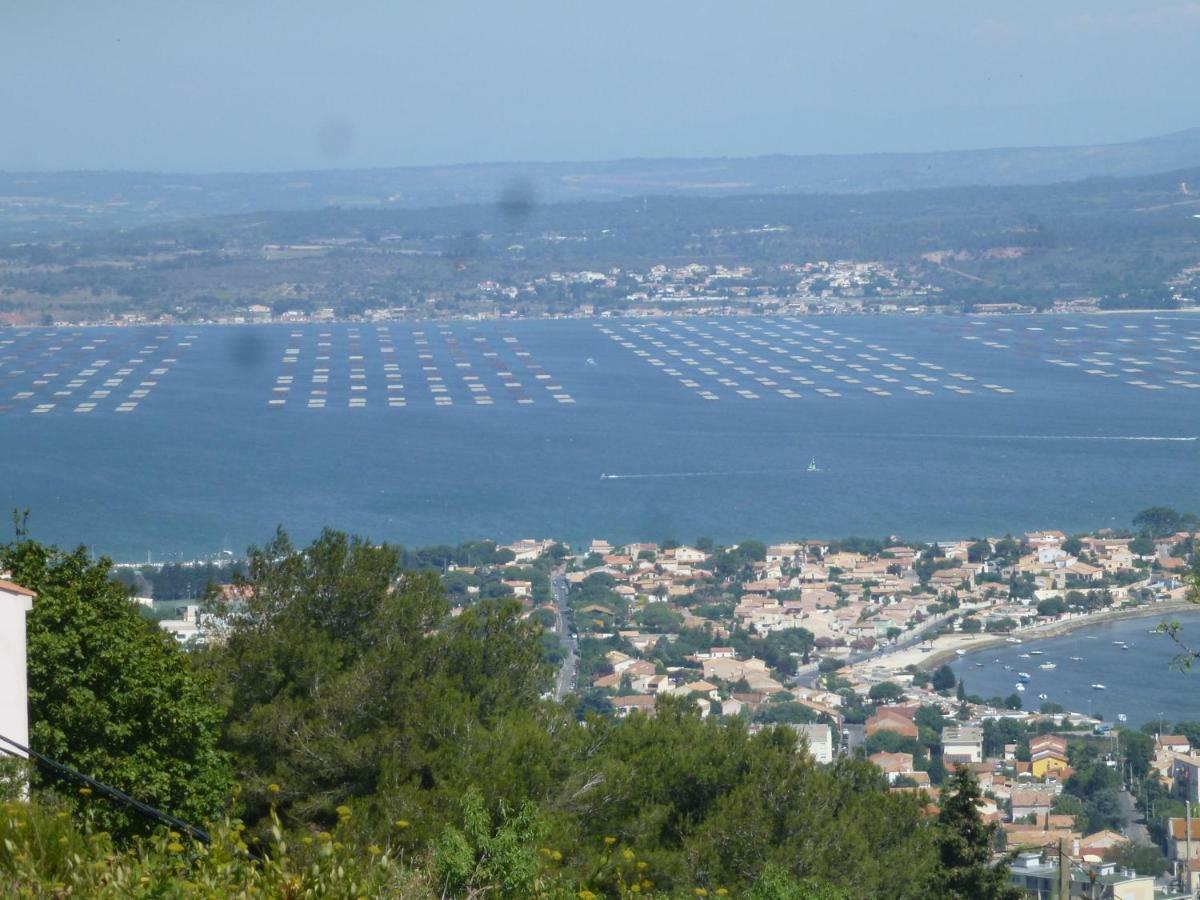 Aux Marches Du Soleil: Shared Apartment with Private Rooms Sete Exterior photo